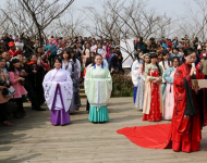 2016上海樱花节什么时候开幕_上海顾村公园樱花节时间、地点、路线指南