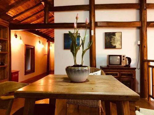 网传前 新京报 领导赴桐庐开客栈,遭地头蛇打压,恐遭牢狱之灾