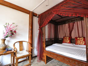 丽江阳光小院藤缠树客栈