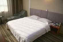 天通数码33 产品全览与深度参考指南