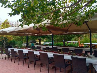 深圳藤编桌椅 匠心工艺，打造酒店、咖啡厅与客栈的户外休闲空间